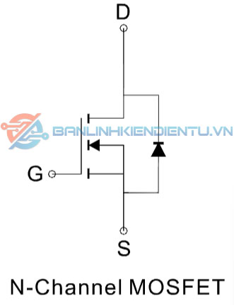 cau tao trong ME15N10