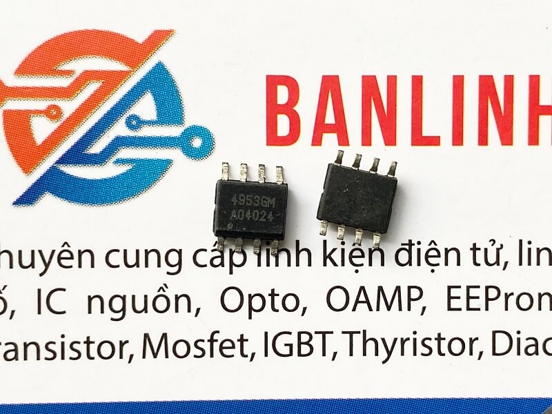 4953GM IC 1