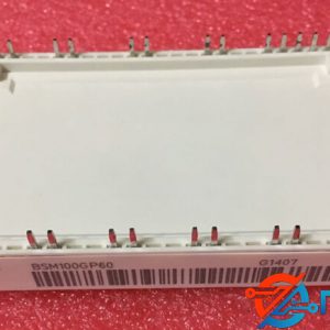 BSM100GP60