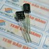 Transistor NPN C828, 2SC828 dòng điện 0.1A 30V TO-92 4 C828 1 1