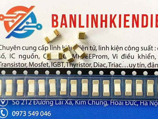Cầu chì sứ dán 1A LF1A