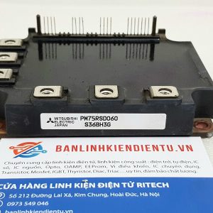 PM75RSD060 13 1