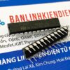 IC điều khiển động cơ L6219 DIP-24 2 L6219