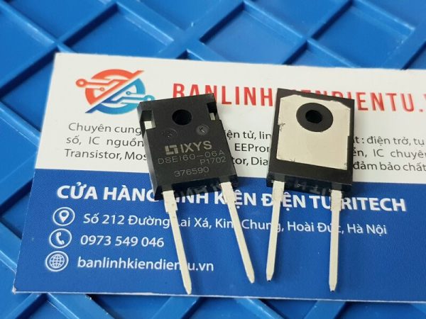 DSEI60 06A xin 2
