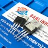 11N60C3, SPP11N60C3 Mosfet Kênh-N 11A 600V TO-220FP 2 SPP11N60C3