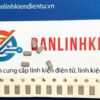 tu dan 1206