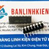 JRC13700 NJM13700 IC khuếch đại DIP-16 5 JRC13700D-IC