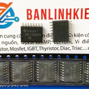 AMC1305M25-ic