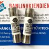 Cầu chì sứ RO15 RT18 RT14 12A 380VAC kích thước 10x38mm 5 Cầu Chì Sứ 380V 12A