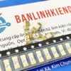 Cầu Chì Sứ SMD 6.3A 125V LF6.3A